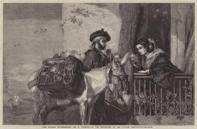 The Spanish Flowerseller by Matthew Somerville Morgan